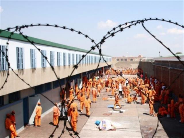 FS gang members get lengthy jail time | News Article
