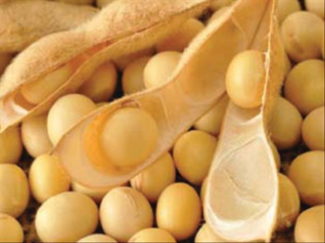 Agri-Uur: Jongste Safex-nuus | News Article