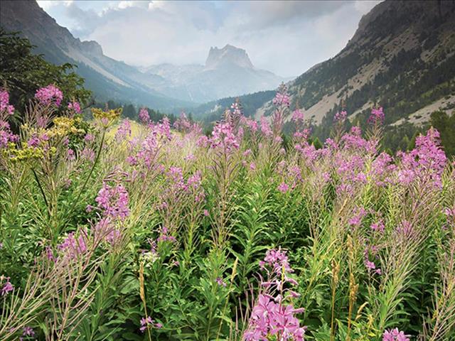 Scientifically, this should help you relax  | News Article