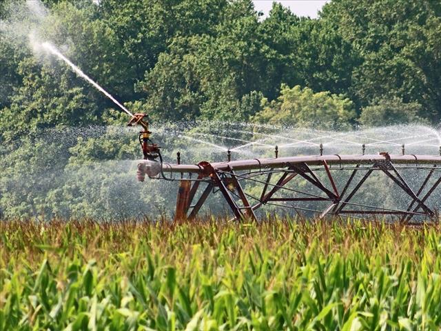  Landboubedryf verbruik water verantwoordelik, sê #AgriSA | News Article