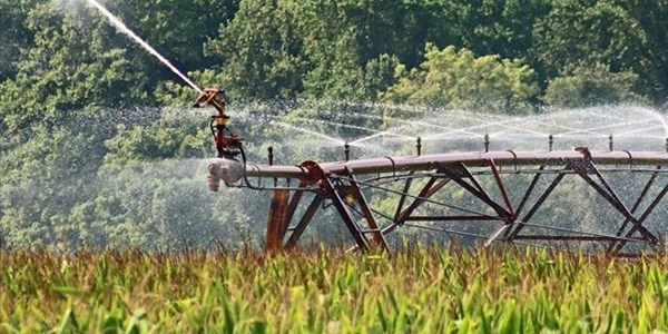  Landboubedryf verbruik water verantwoordelik, sê #AgriSA | News Article