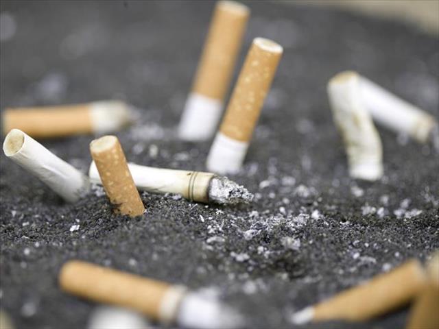 Petition to lift the ban on cigarette sales garners over 500k signatures | News Article