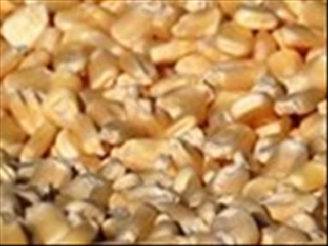 Agri-Uur: Jongste Safex-nuus | News Article