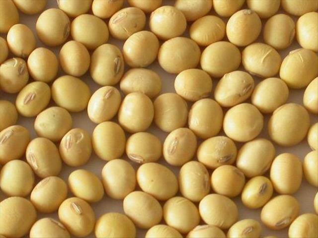 Agri-Uur: Jongste Safex-nuus | News Article