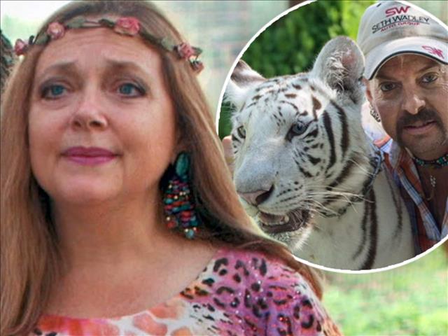 Weird Wide Web - How to fool a tiger queen | News Article
