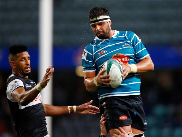 Cheetahs sign former Matie Groenewald | News Article