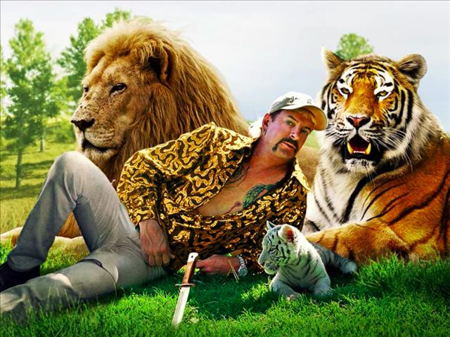 New Tiger King series | News Article