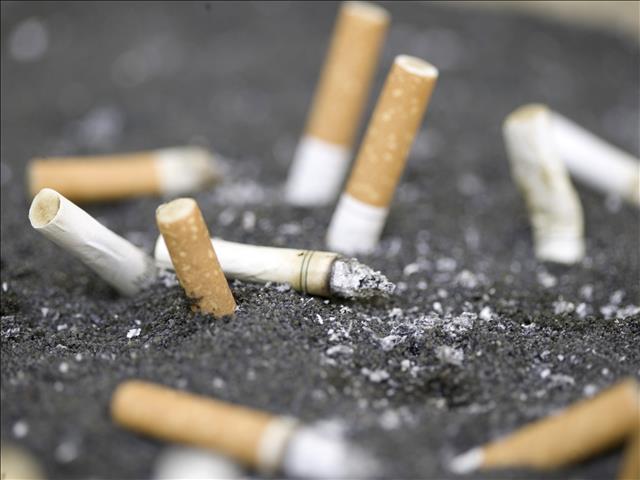 BAT won't pursue court action against cigarettes ban | News Article