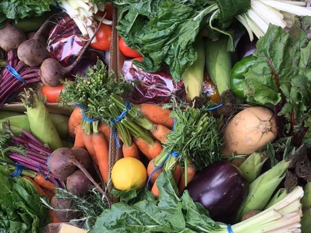 Supporting local in bloem has never been easier | News Article