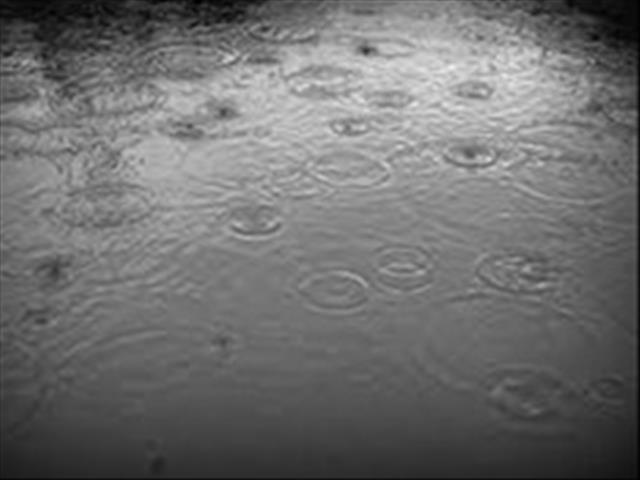 Snow, heavy rain forecast for thirsty NC | News Article