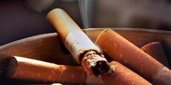 Court hears tobacco sales ban is 'cruel' Court hears tobacco sales ban is 'cruel' | News Article