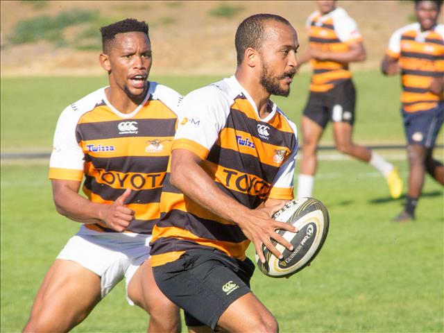 Cheetahs plan to resume training next week Monday | News Article