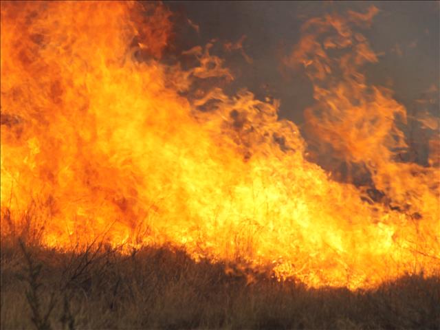 Landbounuus-podcast: 'Brandseisoen is hier' | News Article