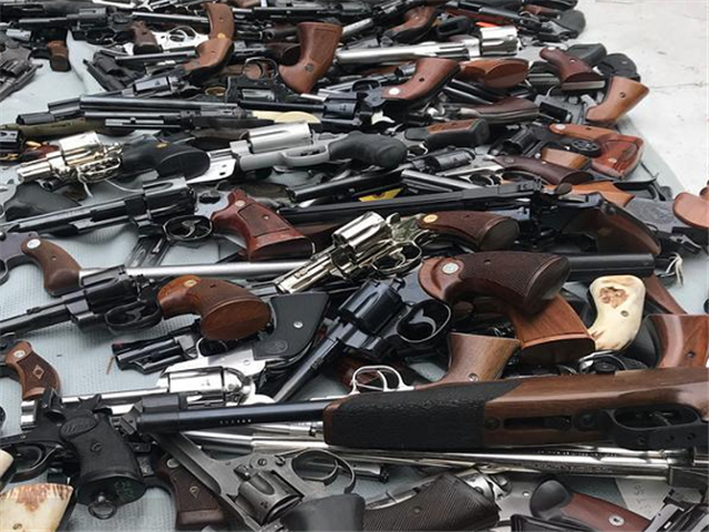 Parliament approves Cele’s notice of new firearm amnesty | News Article