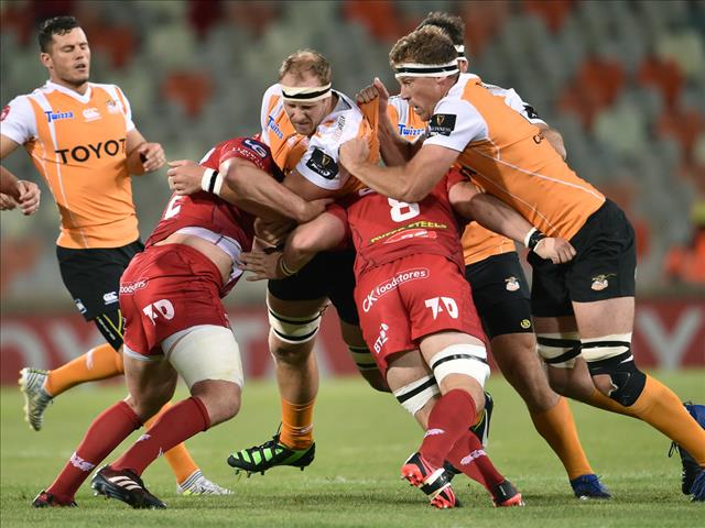 Wegner delighted to be back at the Cheetahs | News Article