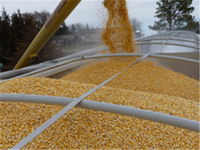 Agri-Uur: Jongste Safex-nuus | News Article