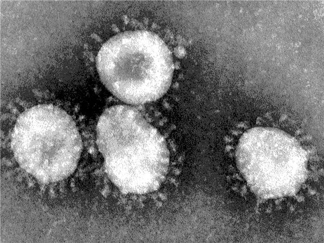 SA's #COVID19 cases jump by 10,000 in five days | News Article