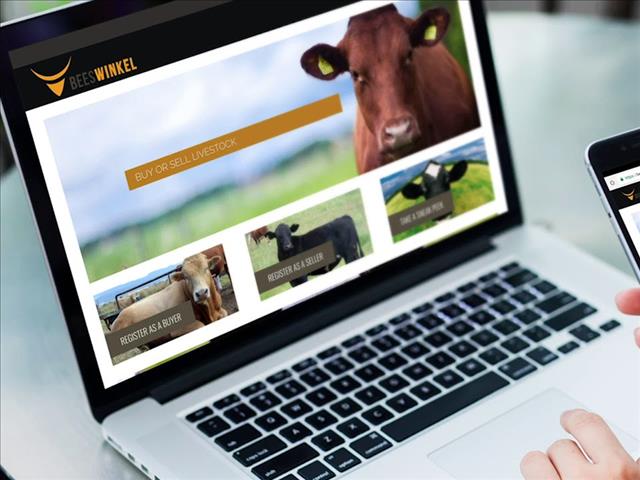Beeswinkel sprei sy vlerke na Namibië | News Article