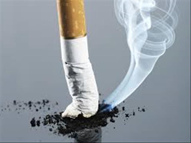 Smokers pushing for tobacco sale say they’ve turned to ‘zolling’ | News Article