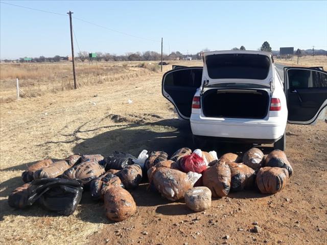 Two arrested for possession of dagga in NW | News Article