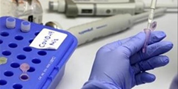 #CoronavirusFS: Ten officials test positive for #Covid19  | News Article