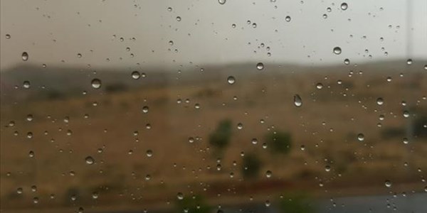 Landbounuus-podcast: Groot opgewondenheid oor winterreën in NK Landbounuus-podcast: Groot opgewondenheid oor winterreën in NK | News Article
