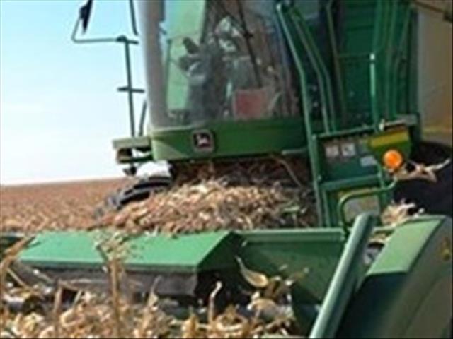 Dieseltekorte kniehalter boere wat nou moet stroop  | News Article