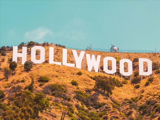 Weird Wide Web - Latest Hollywood updates | News Article