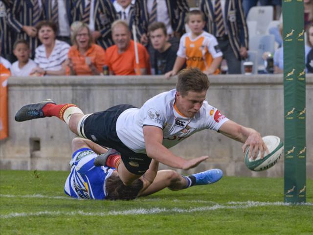 Cheetahs to undergo medicals this week | News Article