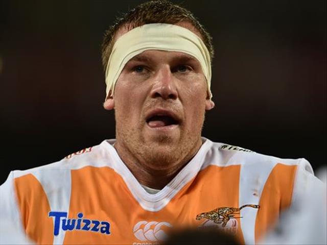 Cheetahs confirm the return of Hugo | News Article