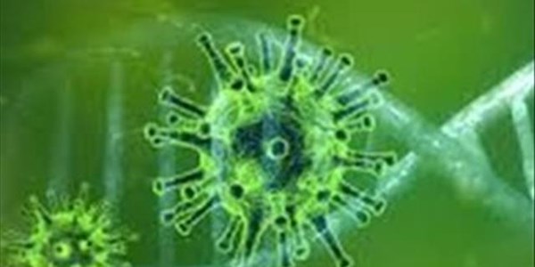#CoronavirusFS: More Bfn schools, government buildings closed #CoronavirusFS: More Bfn schools, government buildings closed | News Article