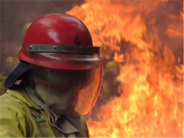 Cause of Ritchie shack fire unknown | News Article