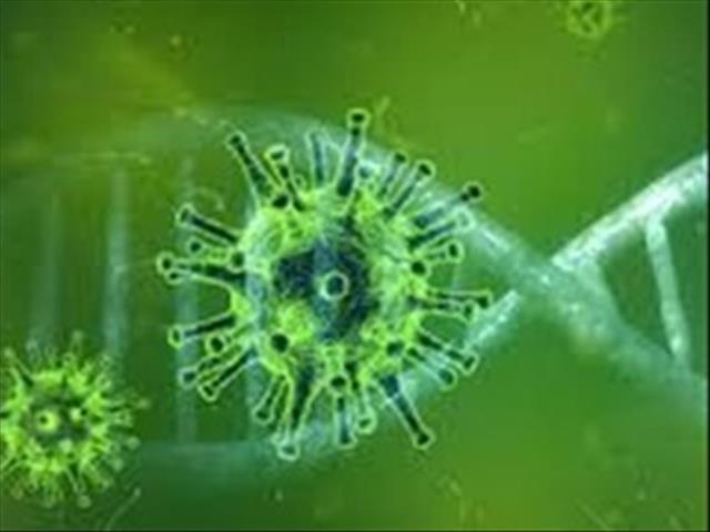 #CoronavirusNC: NICD reallocates two cases to Gauteng  | News Article
