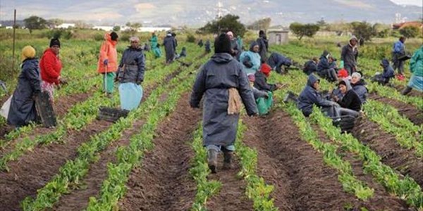 Africa’s young academics to discuss #Covid19 impact Africa’s young academics to discuss #Covid19 impact | News Article
