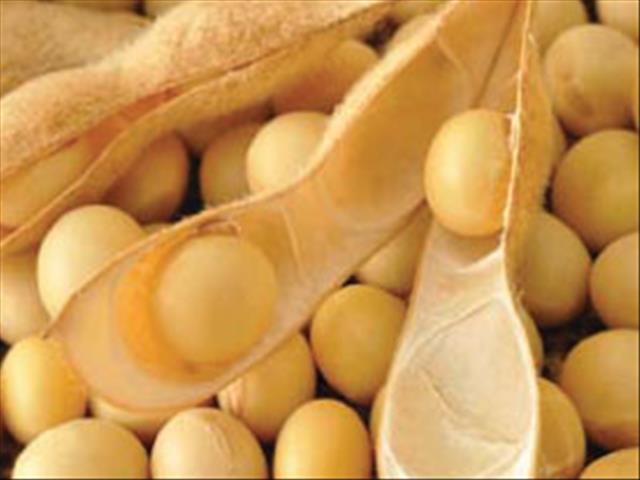 Agri-Uur: Jongste Safex-nuus | News Article