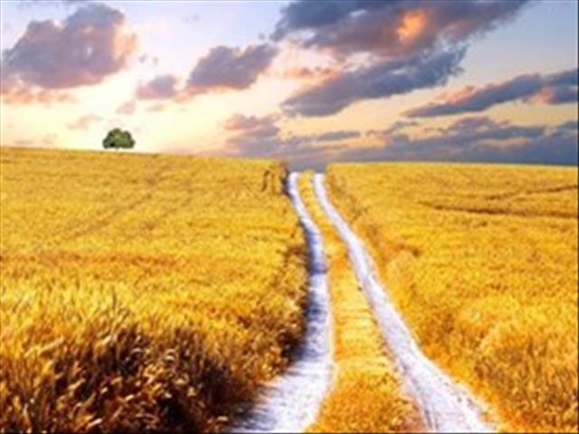 Landbounuus-podcast: Saai vra uitsluitsel oor landboufonds | News Article