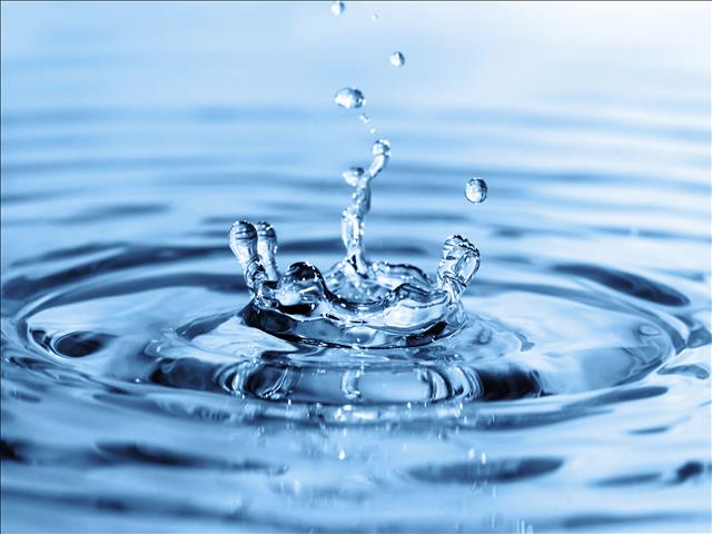 Dam levels decline  | News Article