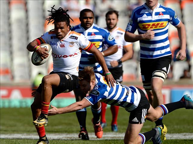Specman on the brink of Cheetahs return | News Article