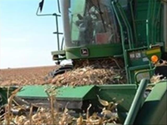 Agri-Uur: Jongste Safex-nuus | News Article