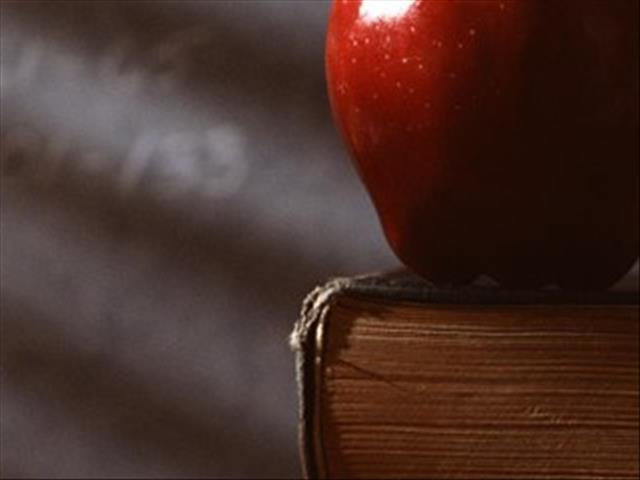 School feeding schemes must continue | News Article