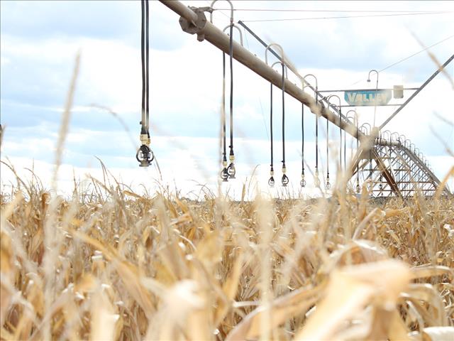 FS farmers to receive #Covid19 relief vouchers | News Article