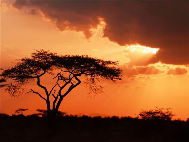 Kenya wildlife reserves threatened | News Article