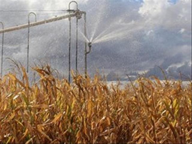 Agri-Uur: Jongste Safex-nuus | News Article