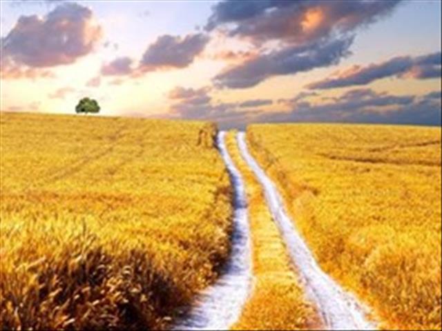 Agbiz: Agriculture a priority sector for growth, job creation | News Article