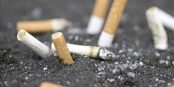 Judgment reserved in cigarette appeal application Judgment reserved in cigarette appeal application | News Article
