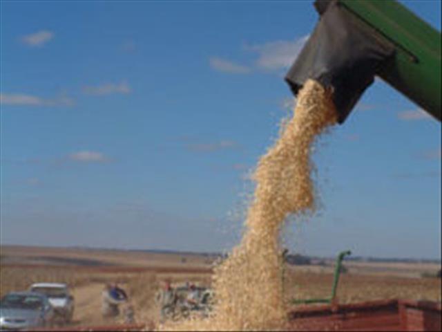 Agri-Uur: Jongste Safex-nuus | News Article