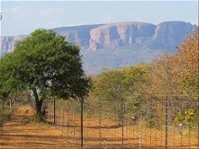 #VrystaatLandbou: Gebruik veiligheidsmiddelle teen aanvalle op plase | News Article