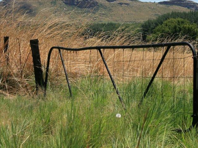 Ramaphosa concerned about all killings | News Article