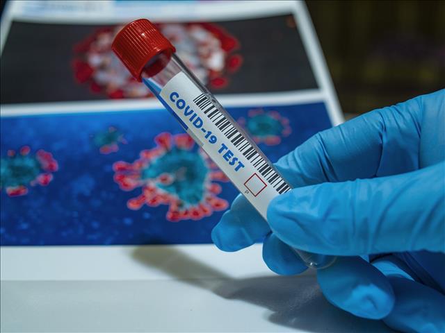SA record more than 13,000 new infections | News Article