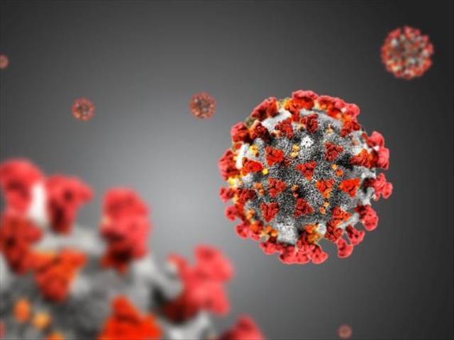 #Coronavirus: Buildings closed in central SA | News Article